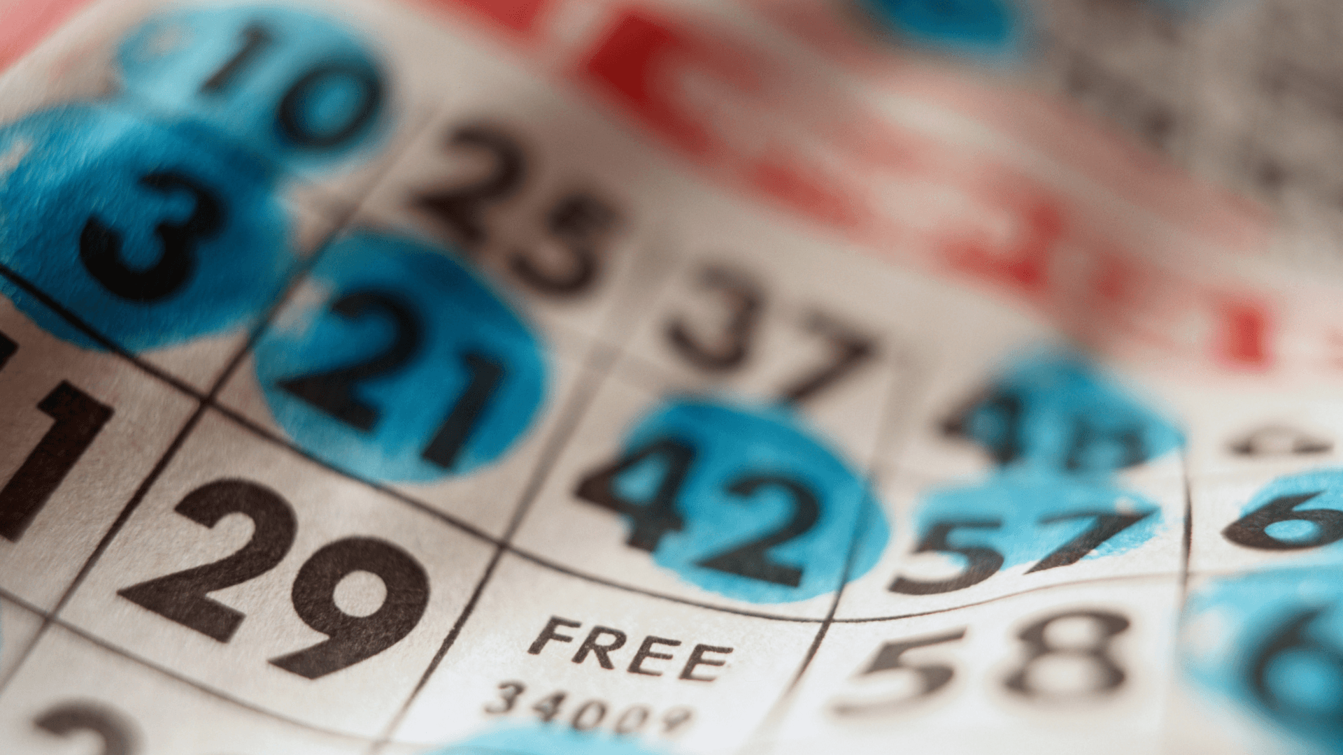 Všetko o online bingo kartách a hovoroch image