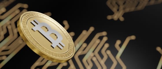 Ako kúpiť bitcoiny za vklady v online kasíne