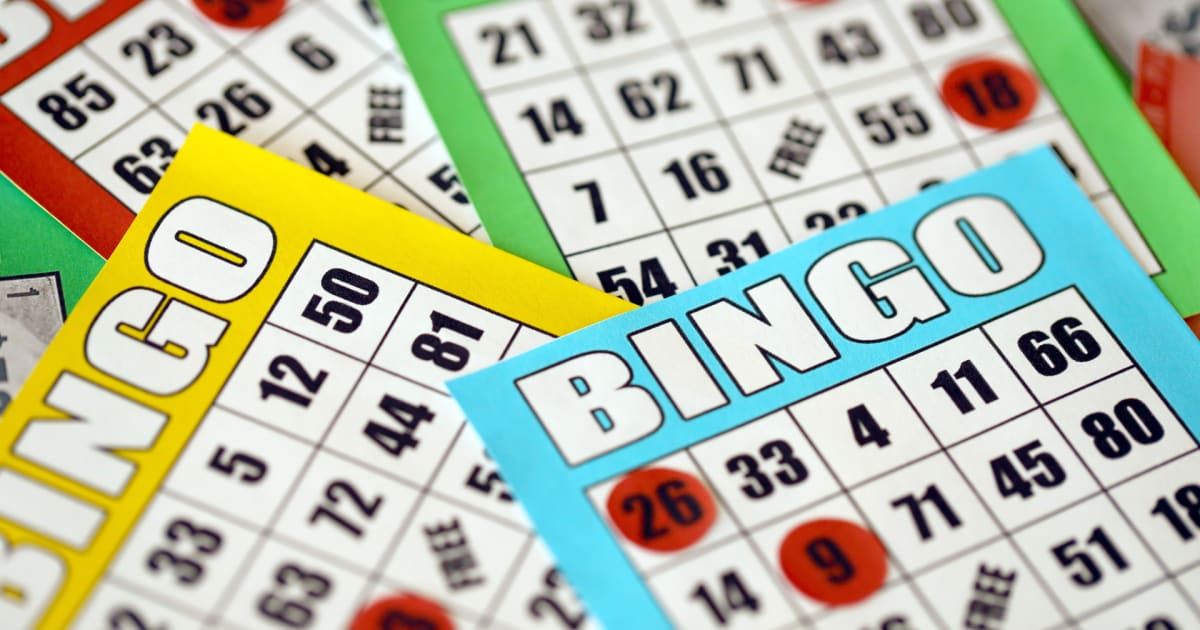 Naučte sa hrať Bingo online
